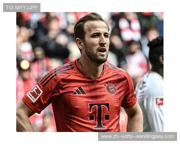 金元足球背景下的德甲顶级投资球队盘点