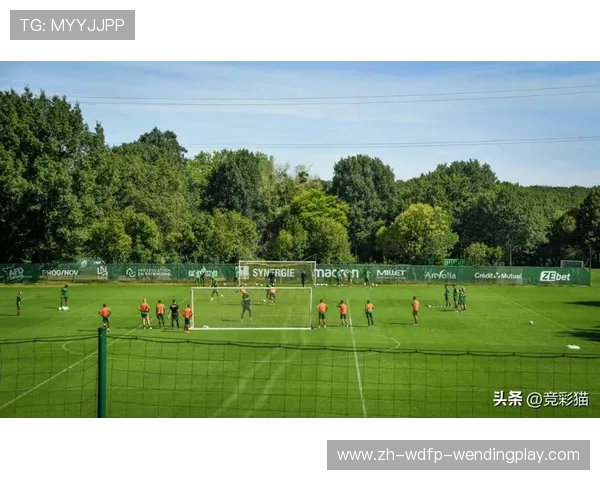 法甲球队排名变化及赛季表现波动原因探讨